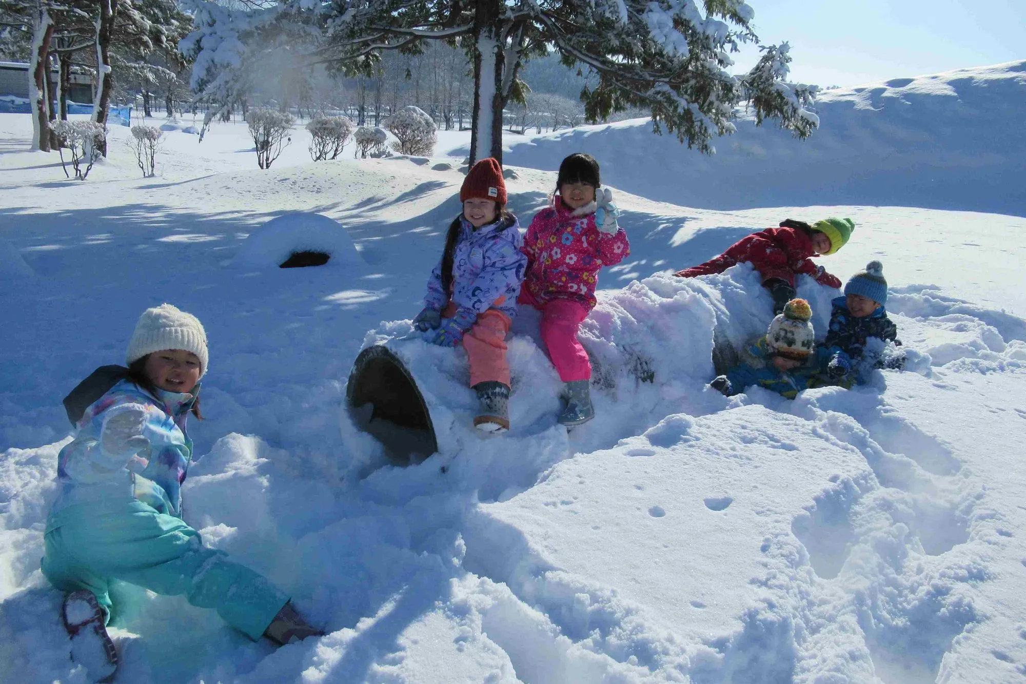 camp image